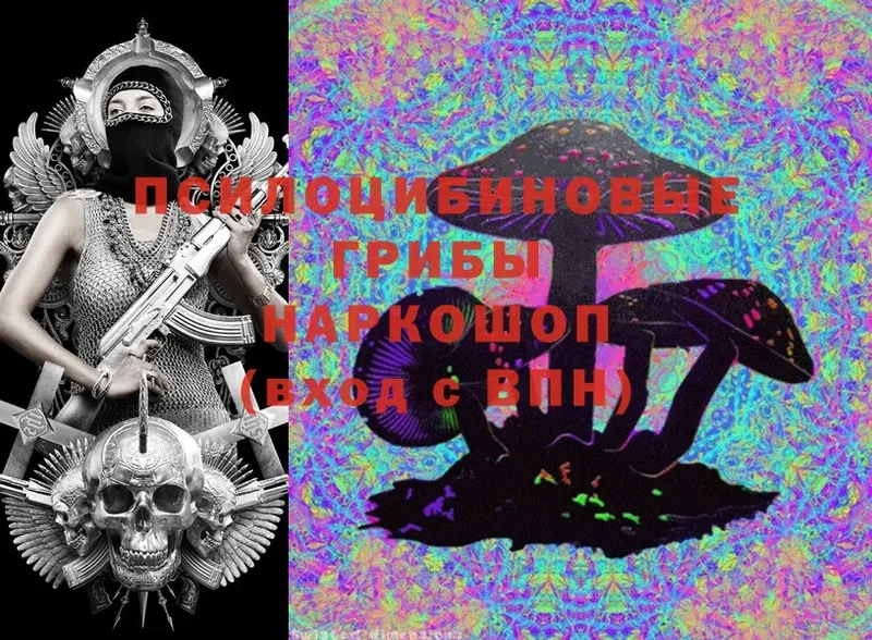 кракен зеркало  Лосино-Петровский  Галлюциногенные грибы MAGIC MUSHROOMS 